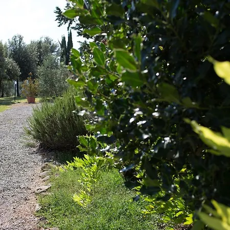 Agriturismo I Cascetti Фермерский дом Пьянкастаньяйо