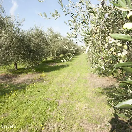 Agriturismo I Cascetti Фермерский дом *